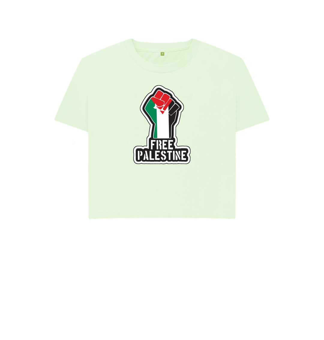 Pastel Green Women's 100% Organic Cotton 'Free Palestine'  Eco Boxy Tee